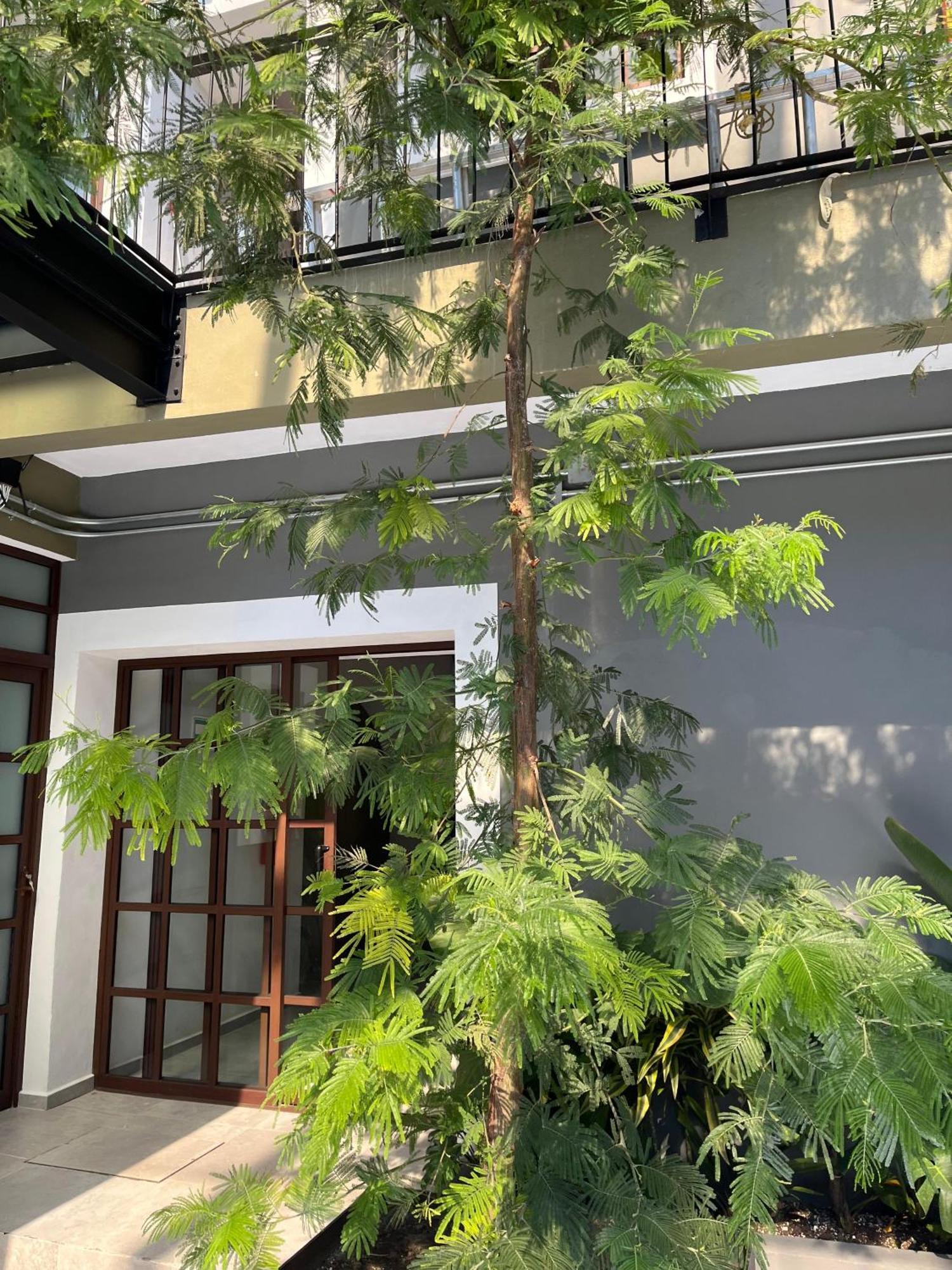 Eonia Hotel Атлиско Екстериор снимка